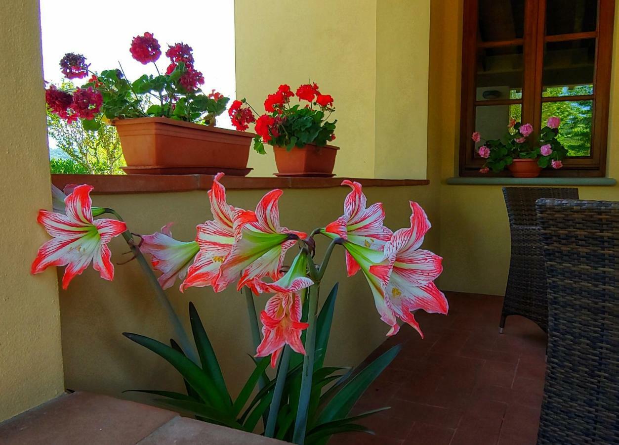 Torrebianca Tuscany ริญาโนซุลลาร์โน ภายนอก รูปภาพ